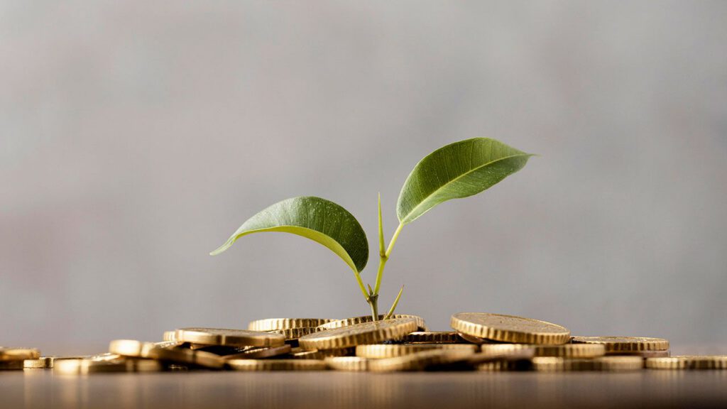 Educação Financeira: Os 4 princípios do dinheiro